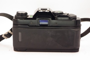 BODY Olympus OM40 Программа V.NICE