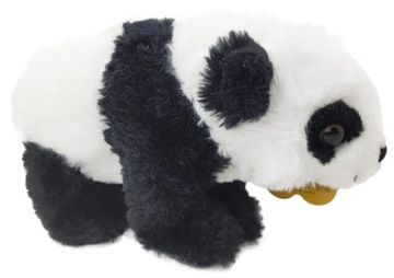 PLUSZOWA PANDA MIŚ maskotka PLUSZAK przytulanka