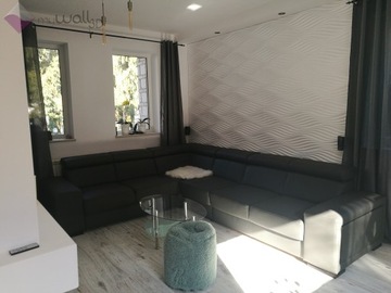 3D Стеновые панели из пенополистирола 60x60 WIND