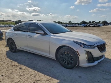 Cadillac 2022 Cadillac CT5 Premium Luxury 2022 2.0 Benzyna 237KM, zdjęcie 4