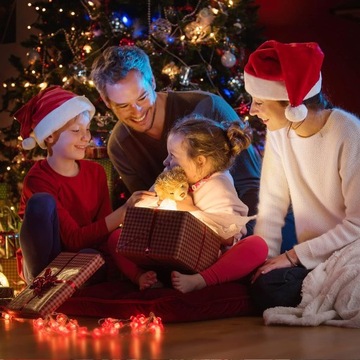 РОЖДЕСТВЕНСКАЯ ШАПКА САНТЫ, КРАСНАЯ, ГЛАДКАЯ, ЭКО