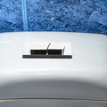 2 шт. ДВОЙНЫЕ КНОПКИ ТУАЛЕТНОГО БАКА ТУАЛЕТНЫЕ КНОПКИ ВАННАЯ ТУАЛЕТНЫЙ БАК Смыв