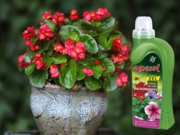 Удобрение PELARGONIA SURFINIA PETUNIA SUPERTUNI 1 л
