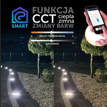 8x Светящаяся светодиодная брусчатка LedBruk 20x10 CCT