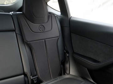 КОВРИК ДЛЯ СИДЕНЬЯ, чехол и защита для бренда TESLA PRINCE LIONHEART