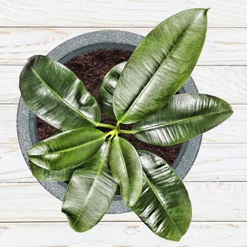 НАБОР ИЗ 2 ЦВЕТОЧНЫХ ГАЗОВ СЕРЫЙ МРАМОРНЫЙ ГОРШОК 30,5 см