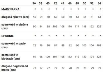 KOMPLET GARNITUR ZE SPODNIAMI (36-54) 42