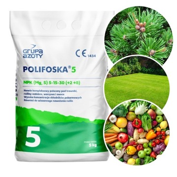 NAWÓZ DO TRAWY POLIFOSKA 5 NPK 5-15-30 UKORZENIA ZAGĘSZCZA 5KG UNIWERSALNY