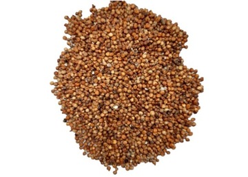 Sorgo czerwone 1kg