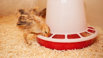 Кормушка 3 кг