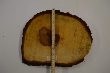 Plaster Kasztana 38x30 cm Drewniane Deski Tacka