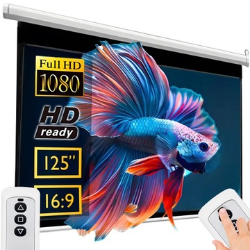EKRAN PROJEKCYJNY ŚCIENNY ELEKTRYCZNY 265x179 CM 125