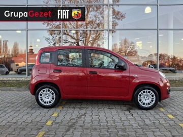 Fiat Panda III 2025 Fiat Panda Pandina Icon 1.0 70 KM 5-miejscowa, zdjęcie 2