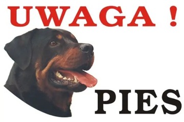 Tabliczka UWAGA PIES 30x20 #116