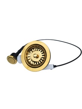 Slim Siphon Single -Chamber Machine для раковины щелкните золотой моллюсков