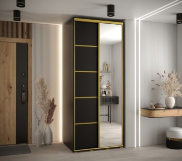 Шкаф-купе, высокий ДАВ 3, глубина 100 см. 60 см