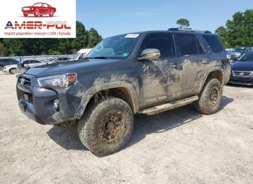 Toyota 2024 Toyota 4-Runner SR5 2024 4.0l 4.0 Benzyna 270KM