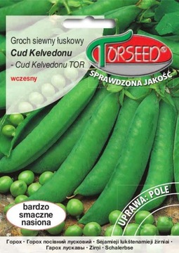 GROCH SIEWNY ŁUSKOWY WCZESNY CUD KELVEDONU TOR NASIONA TORSEED 50G