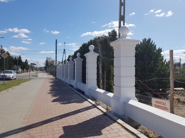 УСАДНЫЕ ЗАБОРЫ, ПРОЛЕТЫ, ДВОРЕЦОВЫЕ ЗАБОРЫ, СТОЛБЫ