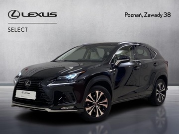 Lexus NX I SUV Facelifting 300 238KM 2021 Lexus NX 300 F Impression AWD I (2014-2021) Lexus