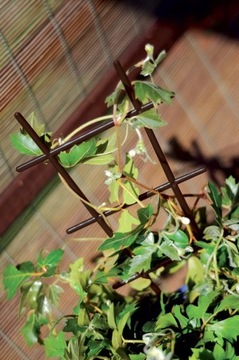 ПОДДЕРЖКА ДЛЯ ЦВЕТОВ ЛЕСТНИЦА, КОРИЧНЕВАЯ, 38 СМ