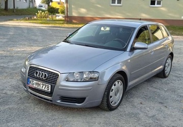 Audi A3 8P Hatchback 3d 1.6 FSI 115KM 2005 Audi A3 1,6 Benzyna 5 Drzwi Klima El szyby ..., zdjęcie 30