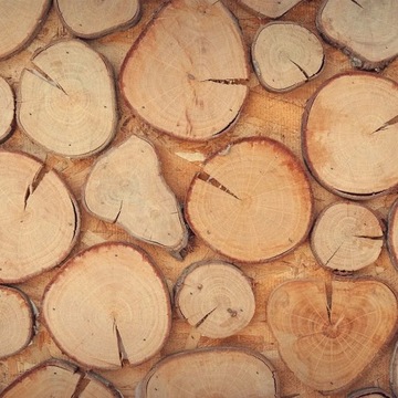 ДОРОЖКА, САДОВАЯ ДОРОЖКА, ДЕРЕВЯННАЯ ТЕРРАСНАЯ ПАНЕЛЬ