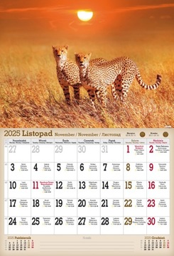 НАСТЕННЫЙ КАЛЕНДАРЬ 2025 А3 ДИКИЕ ЖИВОТНЫЕ ЗООПАРК КОАЛА МЕДВЕДЬ СЛОН МАВКА ДЕЛЬФИНЫ