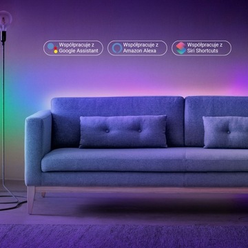 СВЕТОДИОДНАЯ ЛЕНТА WIFI SMD5050 10M RGBIC ЦВЕТНАЯ TUYA