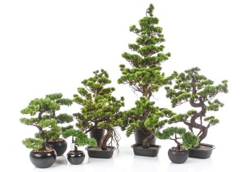 Дерево BONSAI PINE 70, искусственный изогнутый ствол, сосна бонсай в японском стиле.