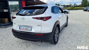 Mazda CX-3 2021 Mazda CX-30 2.0BENZ 180KM kamery 360 skora nawigacja Bose bezwypadek 2.0, zdjęcie 12