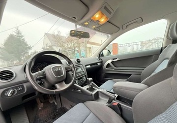 Audi A3 8P Hatchback 3d 1.6 TDI 105KM 2010 Audi A3 3-drzwiowe Audi A3 3-drzwiowe 1.6 TDI DPF Ambition 1.6 Diesel 105KM, zdjęcie 15