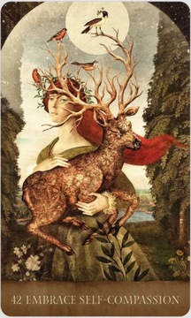 Dream Song Oracle Cards, instr.PL