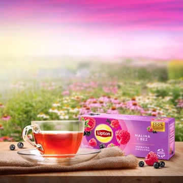 Набор фруктового чая Lipton Малина Без Грейпфрут микс вкусов 4х20 пакетиков