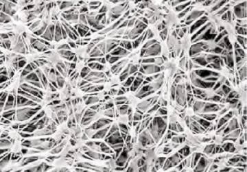 ПРОКЛАДКА ТЕФЛОНОВОГО ШЛАНГА 3/4 ДЮЙМА E PTFE ТЕФЛОН