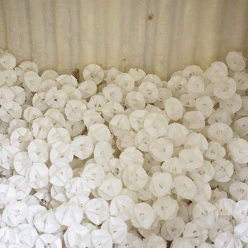 EKOPOL Oczyszczalnia Bilogiczna BIO HYBRYDA 5os. 2500L z Tunelami Graf 300L