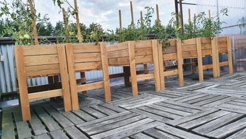 ЗЕЛЕНАЯ ГРУППА ОВОЩНОЙ ЯЩИК ТРАВБА ПРОВЕРЯЕТ ТОЛСТУЮ ДОСКУ + СЕМЕНА