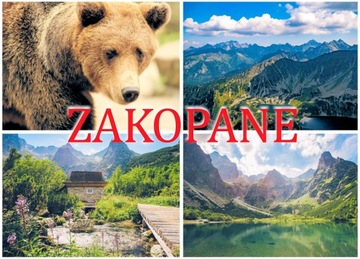 Magnes na lodówkę pamiątka z Zakopanego magnesy Zakopane regionalne Z1