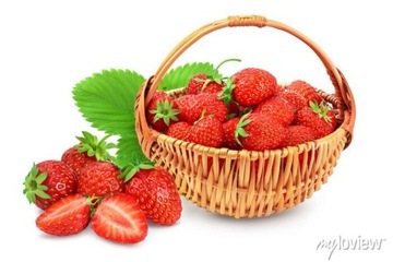 Агротекстиль черный 4,2х10 UV90 SUNRISE противосорняковый агротекстиль + колышки