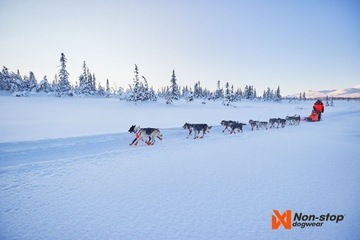 Шлейка для собак Non-stop Nansen Home 7.5