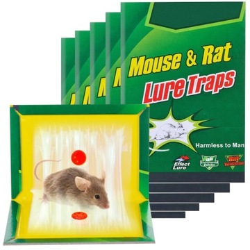 PUŁAPKA NA MYSZY SZCZURY LEP PRZYLEPIEC ŁAPKA 5szt KARTKA LEPOWA ŁAPACZ