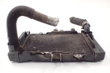 Honda NTV 650 Revere 88-97 Chłodnica