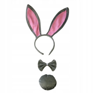 Bunny costumes set Bunny costumes