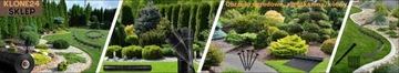 Эко бордюр ГАЗОН ПАВЕР GARDEN 5,8см x 25м АНКЕРЫ