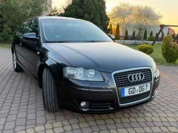 Audi A3 8P Hatchback 3d 1.6 102KM 2004 Audi A3 3-drzwiowe 1.6mpi 102KM Klima Alusy Grzane fotele Sprawdz 1.6, zdjęcie 28