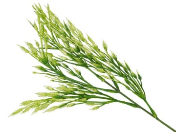 BOHO GAŁĄZKA ZIELONA DODATEK DO STROIKÓW BUKIETÓW 47cm DŁUGA ROŚLINA