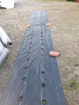 Агротекстиль с ОТВЕРСТИЯМИ для клубники, огурцов, салата, помидоров Агротекстиль УФ