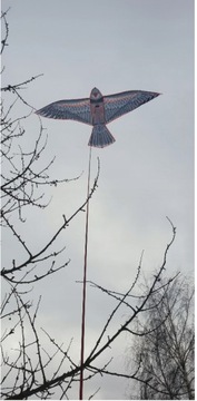 Отпугиватель птиц сокол ястреб + ШЕСТ 7 м + ЗМЕЙ