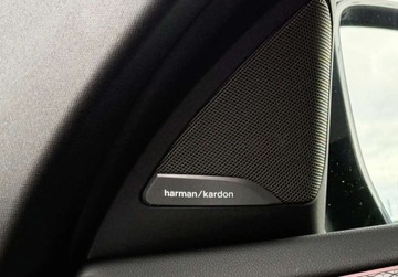 BMW X4 2024 BMW X4 I wlasciciel M Sport Hak Gwarancja Bezwypadkowy FVAT23, zdjęcie 24