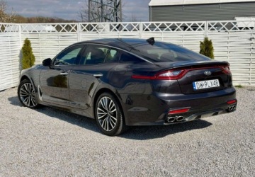 Kia Stinger Liftback 2.0 T-GDi 245KM 2019 Kia Stinger Kia Stinger 2.0 T-GDI OPF GT Line 2.0 Benzyna 245KM, zdjęcie 1